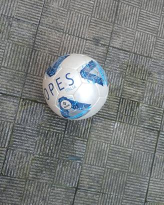 pallone da calcio