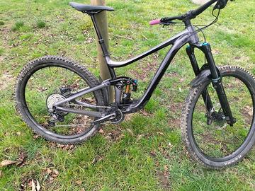 Mtb  enduro Giant Reign 29  1