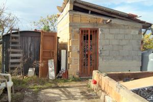 Rustico + Terreno con Ulivi