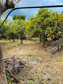 Terreno agricolo e deposito Fiumefreddo di Sicilia