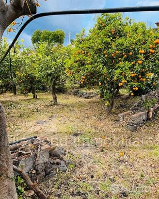 Terreno agricolo e deposito Fiumefreddo di Sicilia