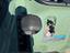 Immagine 12