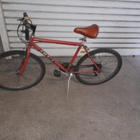 Bici uomo donna ragazzo