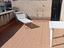 Immagine 28