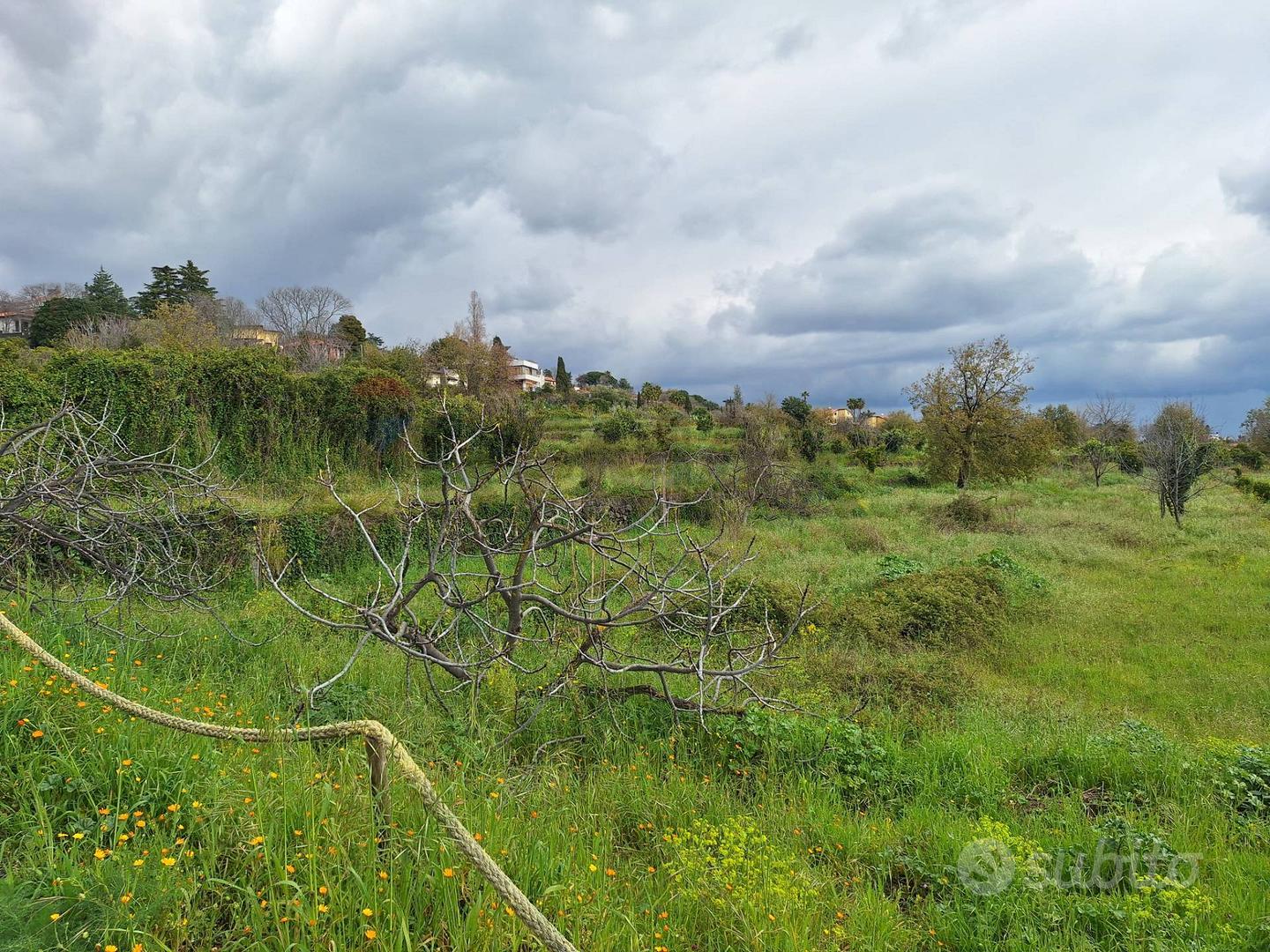 Terreno - Trecastagni - Vista 5