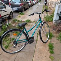 bici da passeggio bianchi 