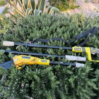 Ryobi sega  a batteria con asta telescopica