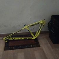 telaio mtb 29