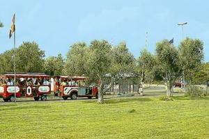 Eurogaden Villetta Francesca 22-29 agosto