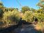 Immagine 26