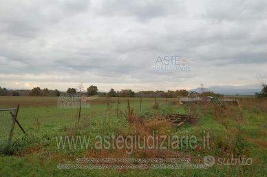 Terreno Agricolo Viterbo [A4294507]