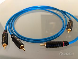 Cavo rca/rca Wireworld Stream 8  			