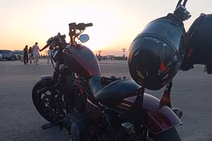 Harley 883 custom
