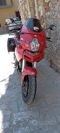 ducati multistrada 620  del 2005