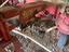 Immagine 26