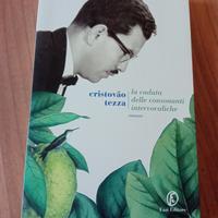 Romanzo La caduta delle consonanti intervocaliche