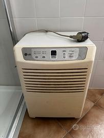 Deumidificatore LG DHE1260DL portatile