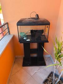 acquario 