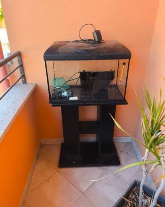acquario 