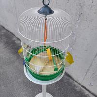 GABBIA per Canarini / Papagallini con base