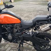 Pan America special 1250