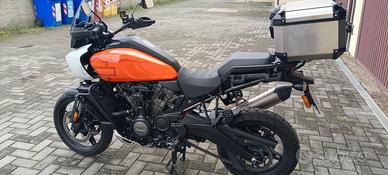 Pan America special 1250