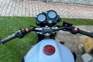 Honda Hornet