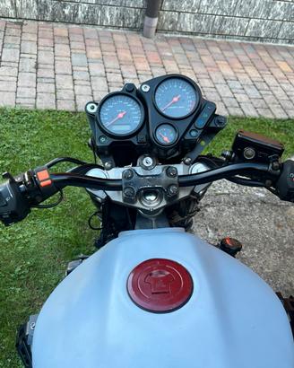 Honda Hornet