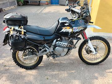 Honda dominator 
