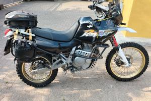 Honda dominator 