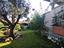 Immagine 9