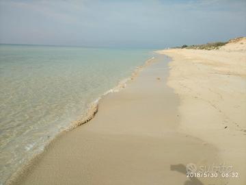 appartamento libero settembre Salento 