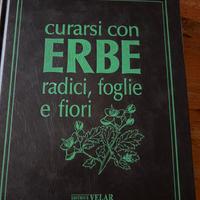 Curarsi con le erbe