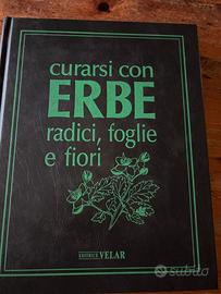 Curarsi con le erbe