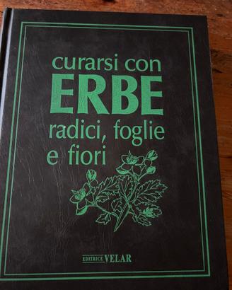 Curarsi con le erbe