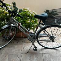 Bici da passeggio