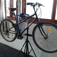 mtb bianchi Thomisus