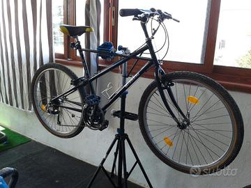 mtb bianchi Thomisus