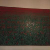 quadro campo di papaveri