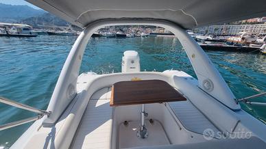 Bat artik - Suzuki 300