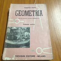 GEOMETRIA PER GLI ISTITUTI TECNICI COMMERCIALI