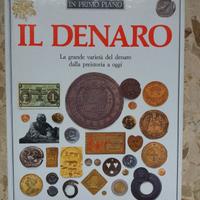 libro il Denaro