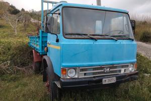 camion om