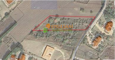 Terreno Agricolo, Contrada San Giovanni dei Gel...