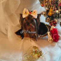 Mini Yorkshire Terrier Toy