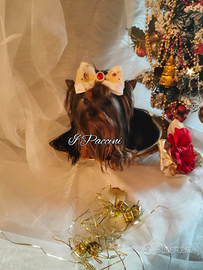 Mini Yorkshire Terrier Toy