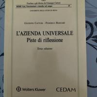 Azienda universale - piste di riflessione