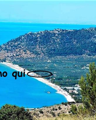 12-19 Settembre: BILOCALE sul mare a Mattinata