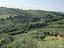 Immagine 20