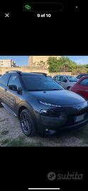 C4 Cactus, 06/2015,